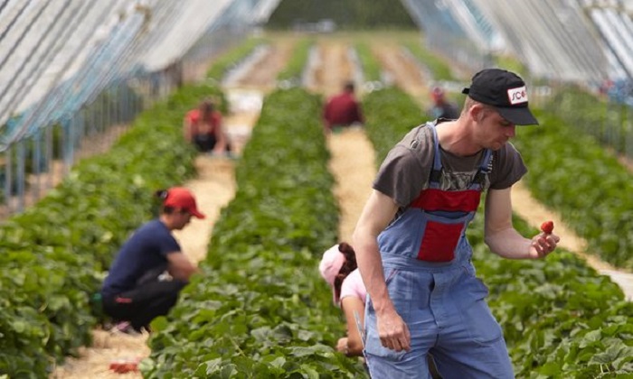 How will leaving the European Union affect our food? 